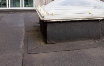disadvantages of Higher Totnell flat roofs