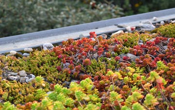the cost of Higher Totnell green roof installation