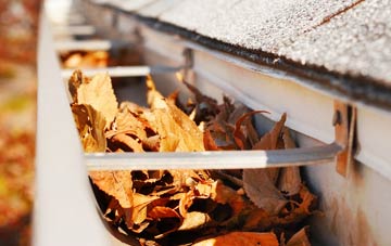 Higher Totnell gutter cleaning companies