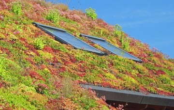 Higher Totnell living roof systems