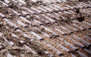 Higher Totnell roof cleaning companies