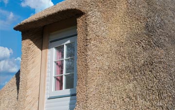 Higher Totnell thatch roof disadvantages