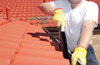 Higher Totnell roof cleaners