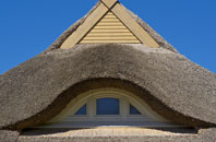 Higher Totnell thatch roofing